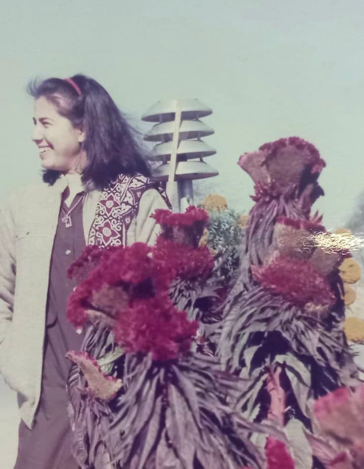 PTV archive photograph 6
