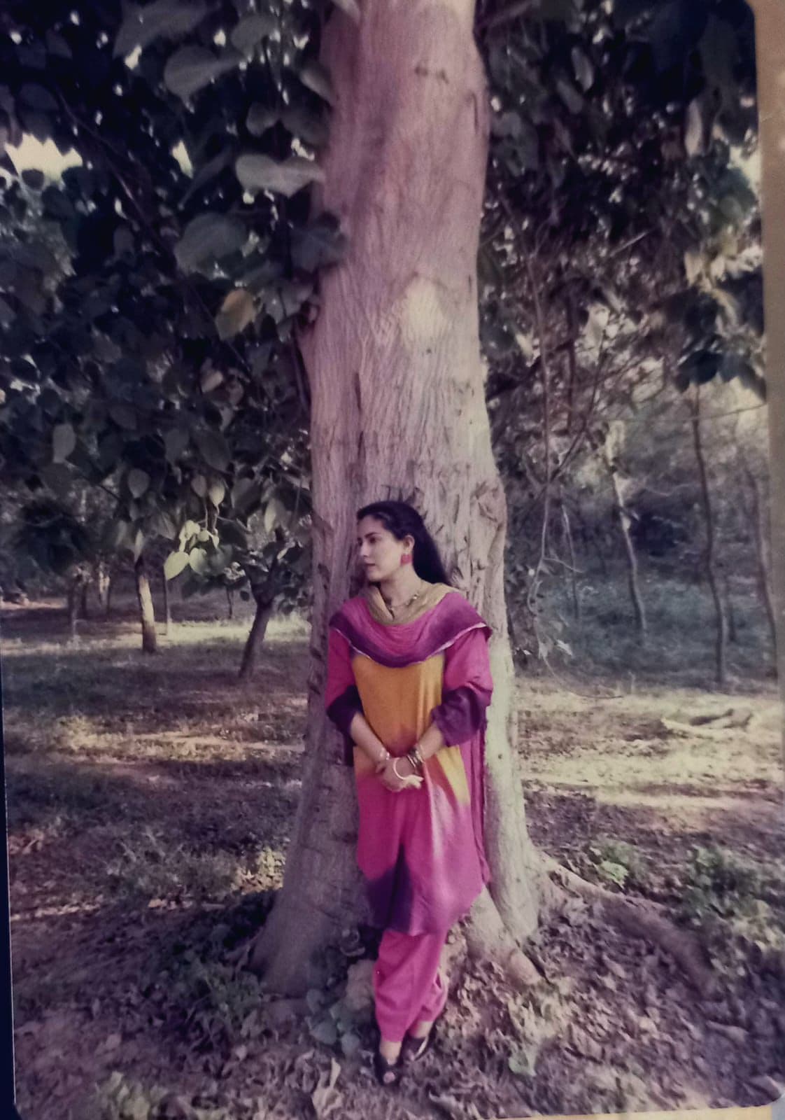 PTV archive photograph 10
